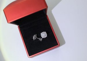 Alana Diamond Jewelry: Kiến Tạo Sự Hoàn Mỹ Cho BST Trang Sức Của Bạn