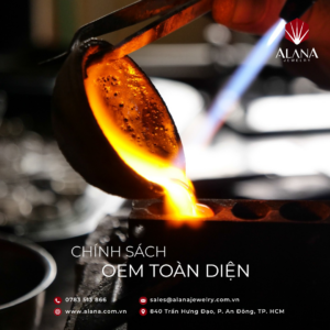 CHÍNH SÁCH OEM TOÀN DIỆN