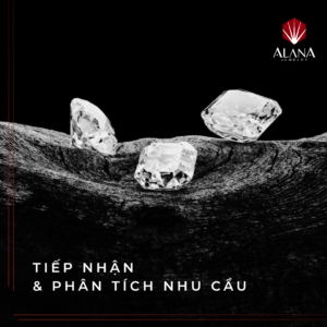 HỢP TÁC VỚI ALANA