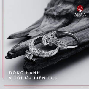 HỢP TÁC VỚI ALANA