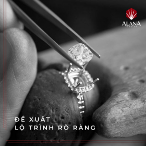 HỢP TÁC VỚI ALANA