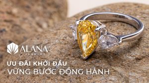 Web mini banner 1