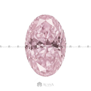 Xoan nam phi oval l pink h06